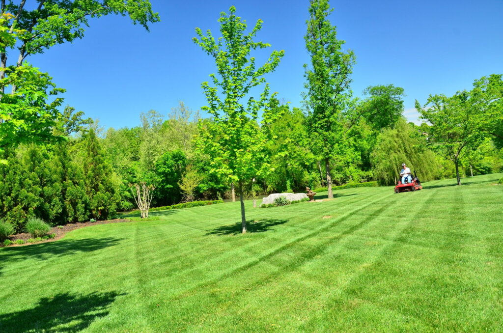 Lawn mowing